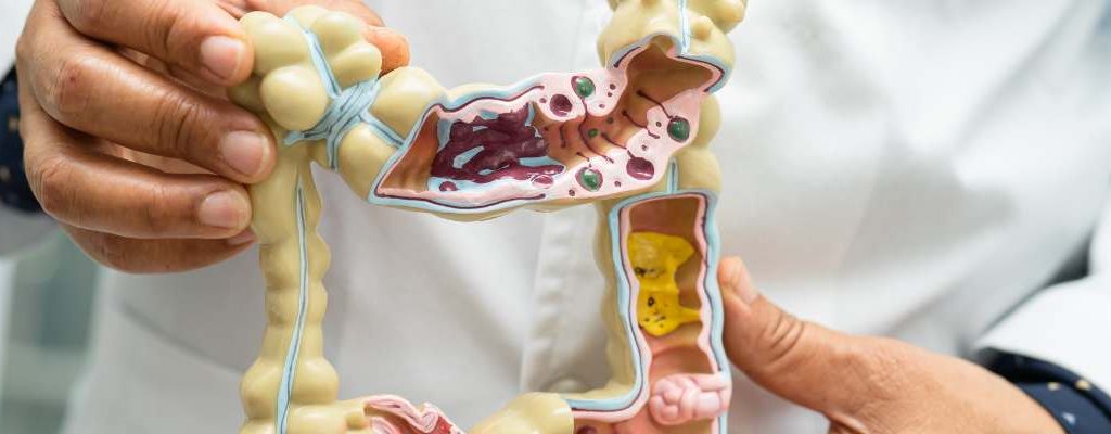 Mounjaro Vs Trulicity How Do They Work Digestive System